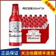 【2件特价】百威啤酒铝罐红瓶355ml*24瓶精酿鲜啤原浆黄啤整箱