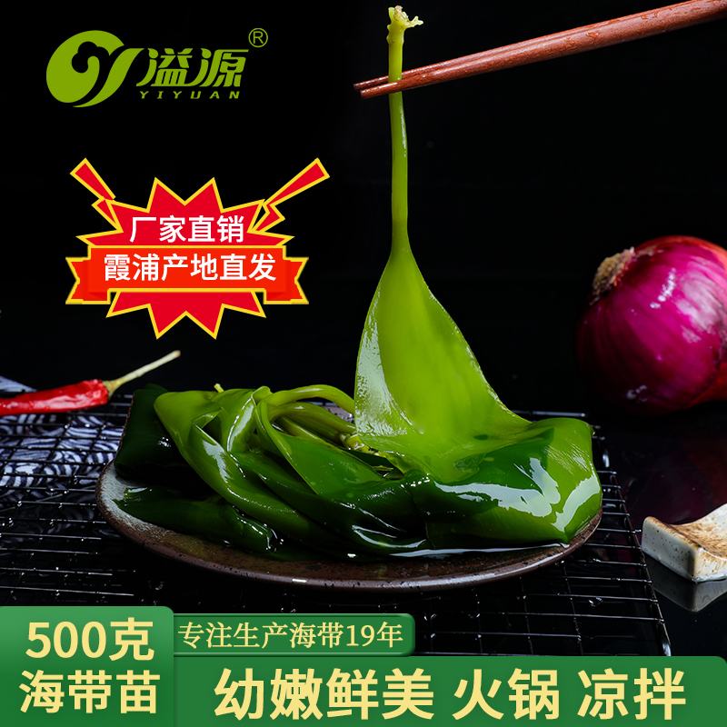 溢源霞浦盐渍苗嫩新鲜小裙带菜干货