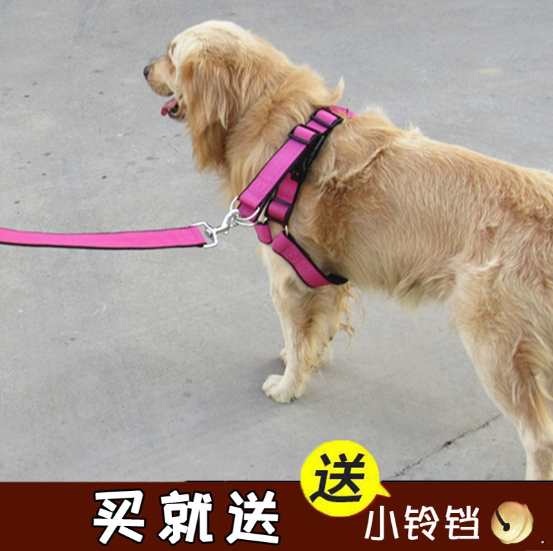 背心式狗狗牵引绳中型大型犬金毛拉布拉多遛狗绳子宠物项圈狗链子