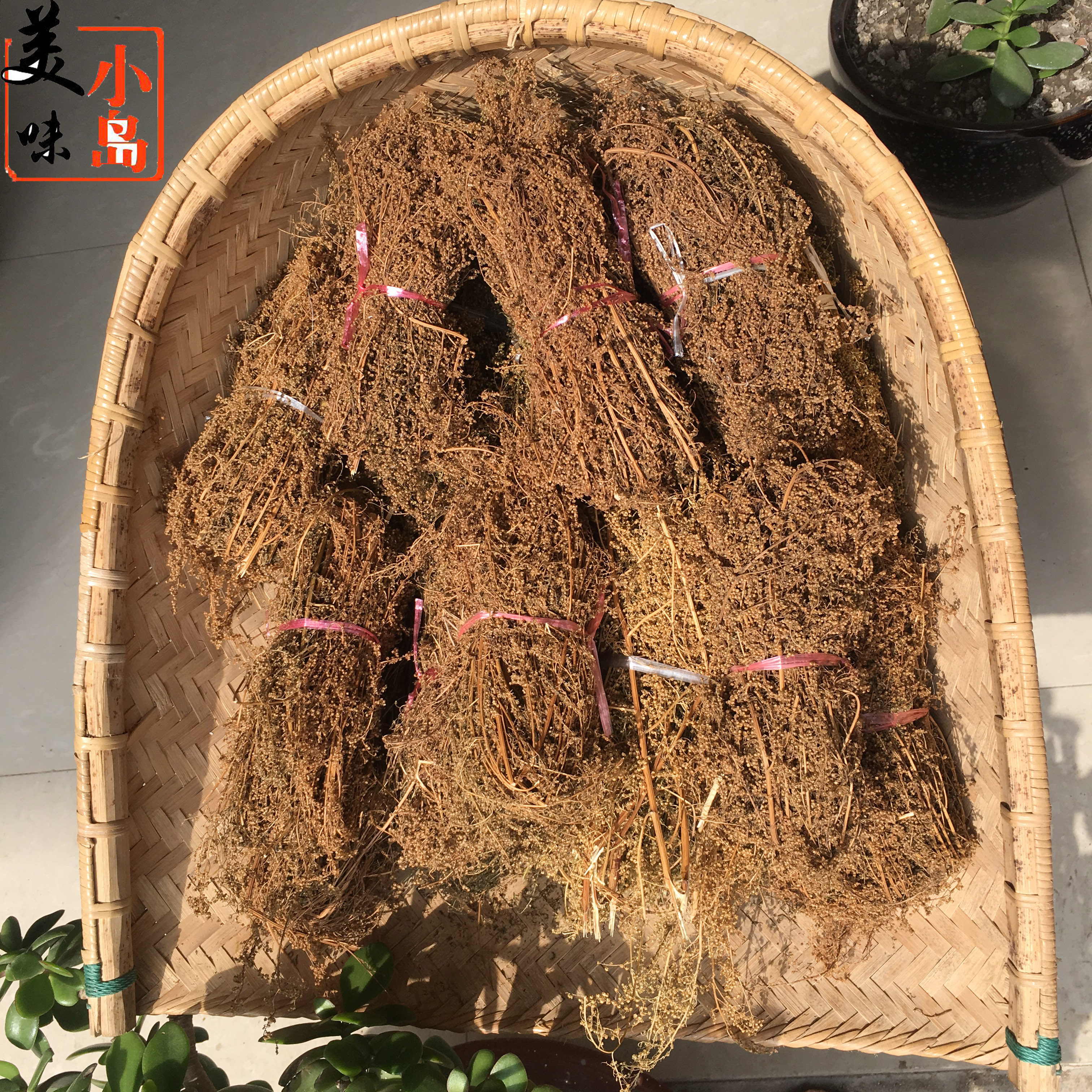 满3份包邮 上海崇明土特产苦草茶 坐月子月经期喝陈苦草100克