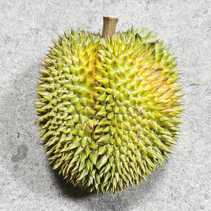 6-9斤泰国诺卡吉榴莲皮薄肉多口感好干包黄肉野生榴莲