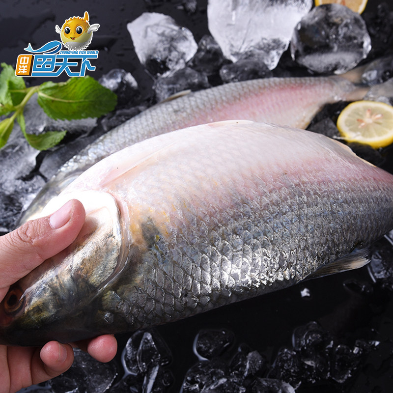 中洋鱼天下旗舰店的优惠券大全