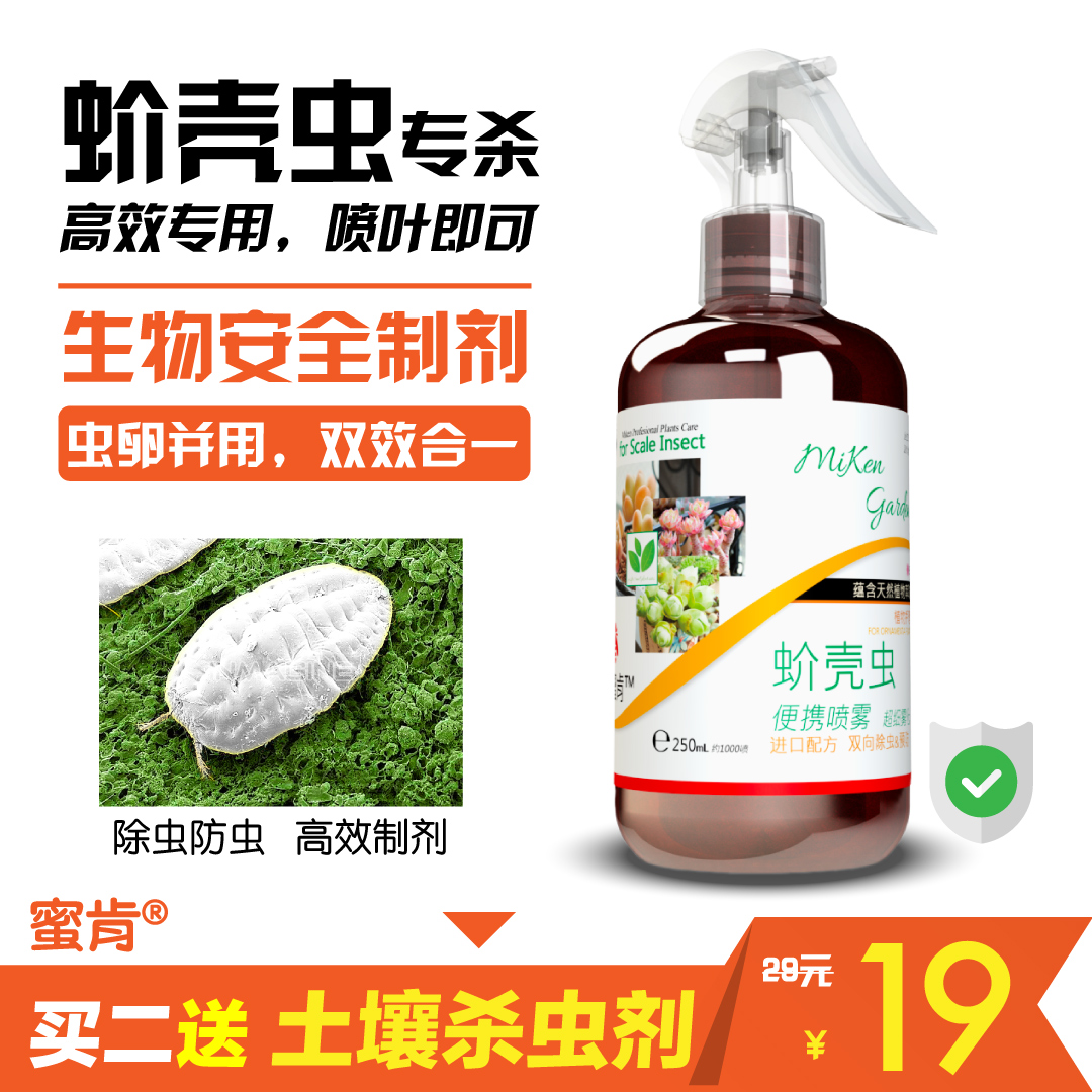 多肉蚧壳虫杀虫剂多省包邮喷雾植物非护花神蚧必治根粉介壳虫蜜肯
