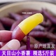 临安天目山小香薯正宗板栗红薯新鲜农家自种小番薯地瓜蜜薯旗舰店