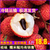小核桂味荔枝新鲜现货包邮海南大荔枝王广东糯米糍荔枝顺丰空运|ru 小核桂味荔枝新鲜现货包邮海南大荔枝王广东糯米糍荔枝顺丰空运|ru