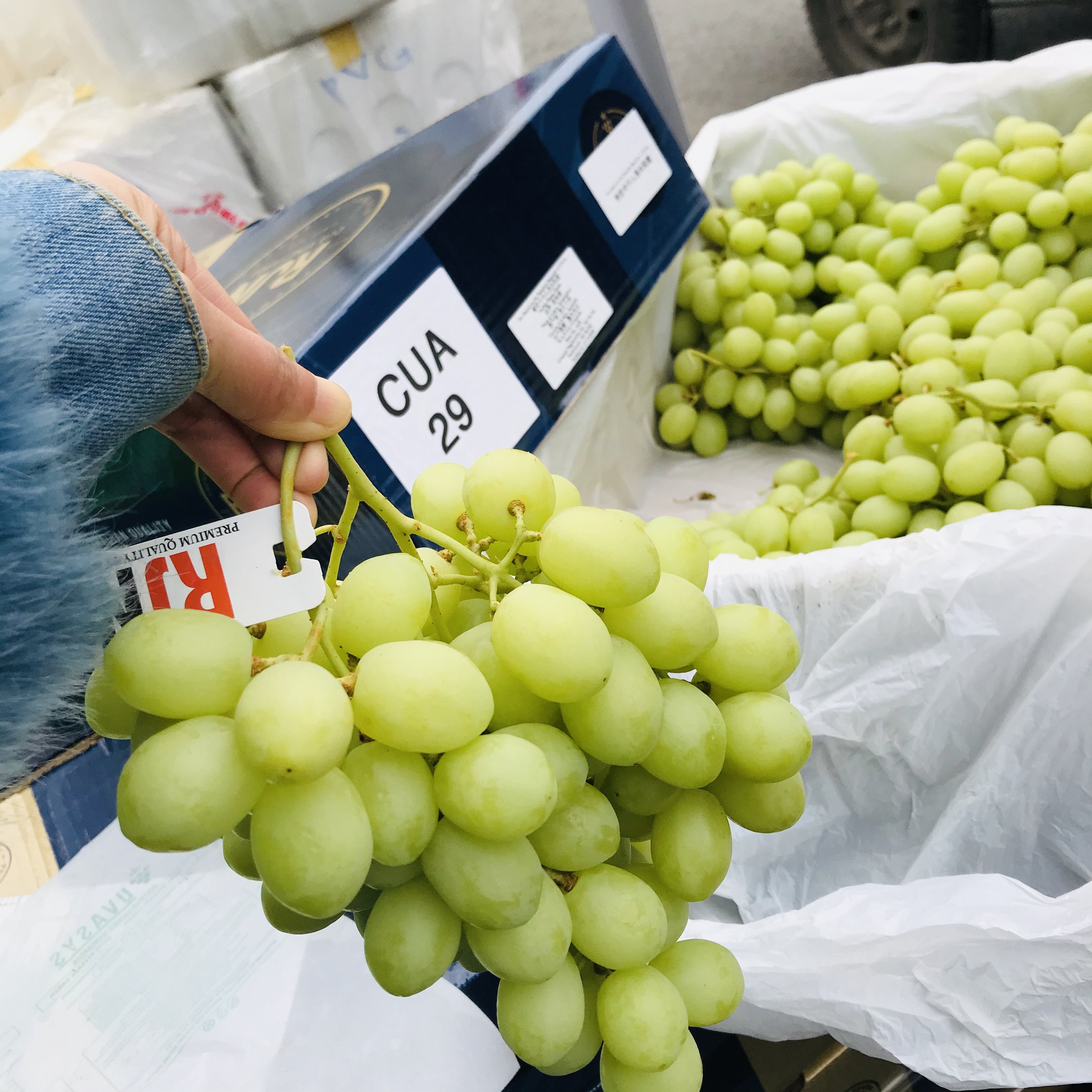 澳洲新鲜进口甜地球晴王无籽青提绿甜脆新鲜提子葡萄水果18斤装-mc母