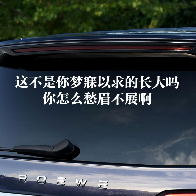 这不是你梦寐以求的长大吗你怎么愁眉不展啊车贴后窗玻璃装饰贴纸