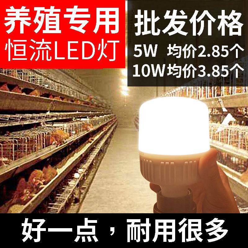 新品鸡场灯E27螺口场照明鸡舍灯泡专用灯暖光蛋鸡节能养殖LED照明