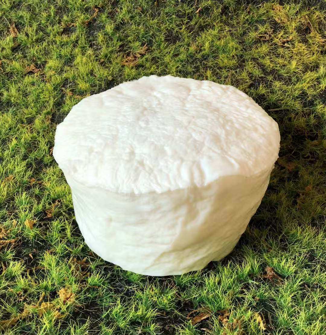 长白山精品白肉太岁太岁肉灵芝整体活体野生2斤多特价