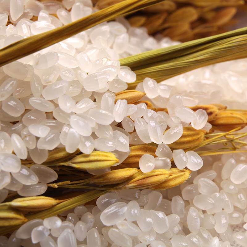 东北大米5kg梅河口大米秋田小町圆粒米寿司米珍珠米10斤