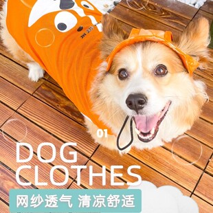 比熊泰迪柯基柴犬狗狗衣服2024新款春夏天薄款背心防掉毛外出防脏