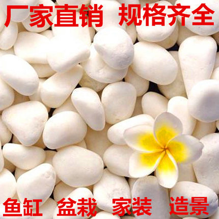 白色鹅卵石白色小石子石头雨花石花盆装饰品铺路白石子装饰石石头在类目 鲜花速递/花卉仿真/绿植园艺, 园艺用品, 其它园艺用品中 - 来自Buy2taobao.com提供专业的淘宝代购服务