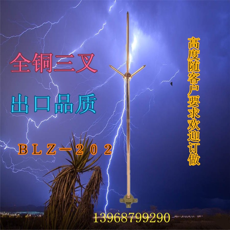 家用避雷针室外防雷器防雷防护针纯铜避雷针BLZ-202屋顶避雷器