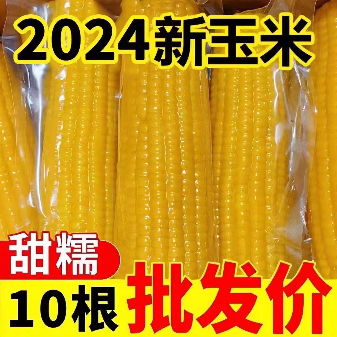 【整箱10根】正宗东北黄糯玉米香甜黏糯粘新鲜非转基因餐代肥减