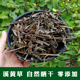 广东翁源野生溪黄草新鲜干货3斤装食用溪黄草茶熊胆草土黄连散茶