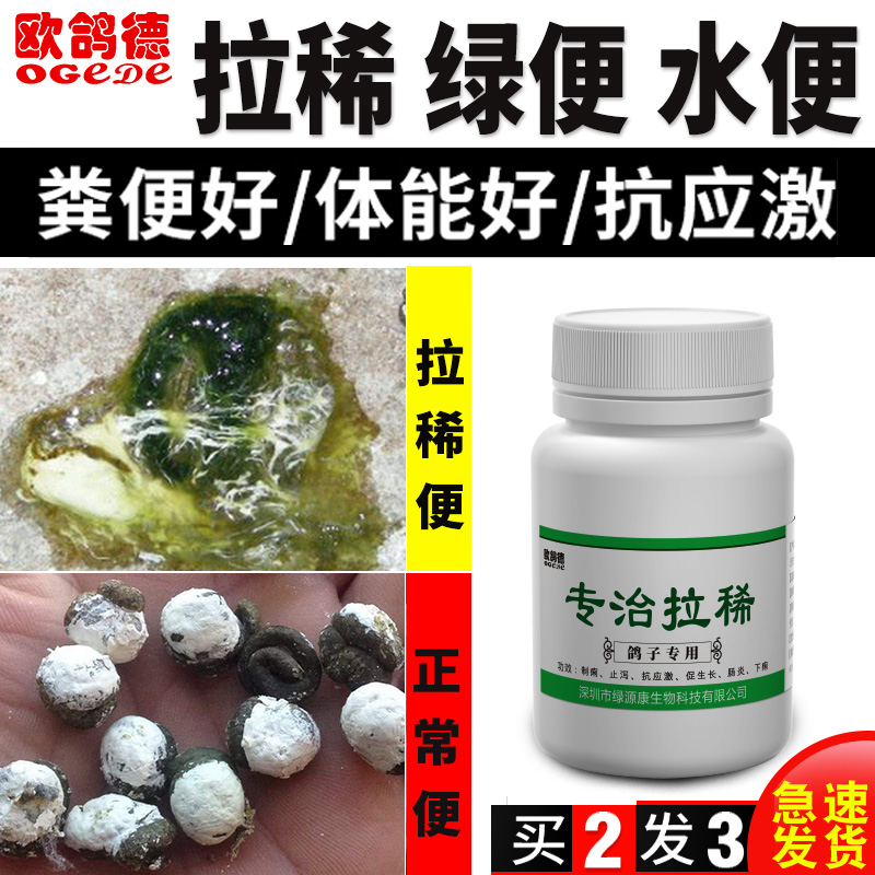 鸽子斗鸡治疗拉稀调理肠道水绿黄白便沙门氏专用药大全用品常见病