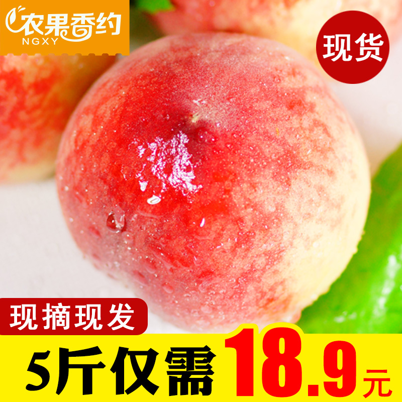 【现货】新鲜水蜜桃5斤桃子当季水果包邮低价毛桃脆桃非黄桃油桃