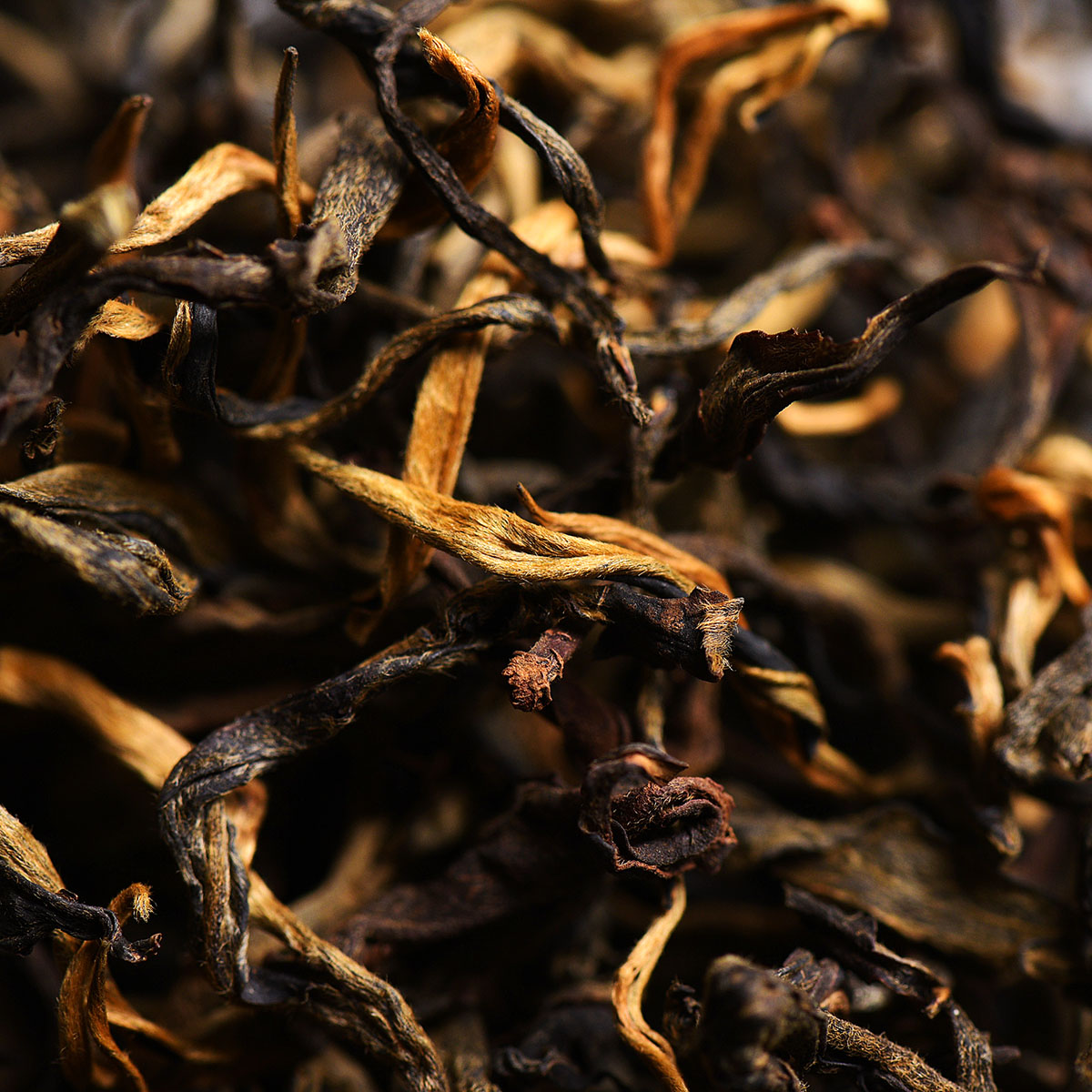 1公斤拍 2017易武古树晒红 云南滇红茶