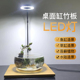 LED植物补光灯小鱼缸微景观实木灯桌面鱼缸灯多肉植物灯水草灯