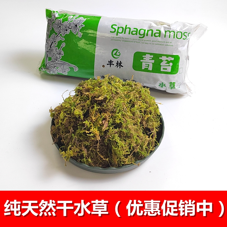 优质天然干青苔藓蝴蝶兰花猪笼草捕蝇草干水苔育苗营养土乌龟冬眠