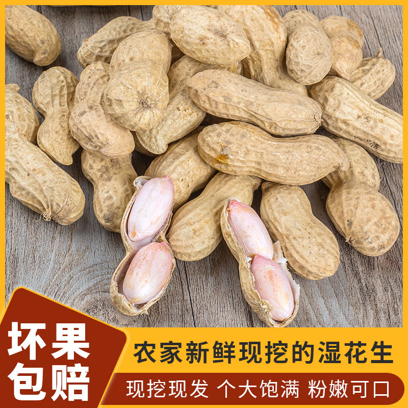 2020年新鲜湿花生现挖现发5斤带壳生花生农家自种粉皮可水煮花生|msdalam kategori daging perikanan/Buah-buahan segar dan sayur-sayuran/dimasak, sayur-sayuran segar/Vegetable Products, sayur-sayuran segar, 新鲜花生 - dari Buy2taobao.com untuk memberikan perkhidmatan ejen Taobao profesional membeli
