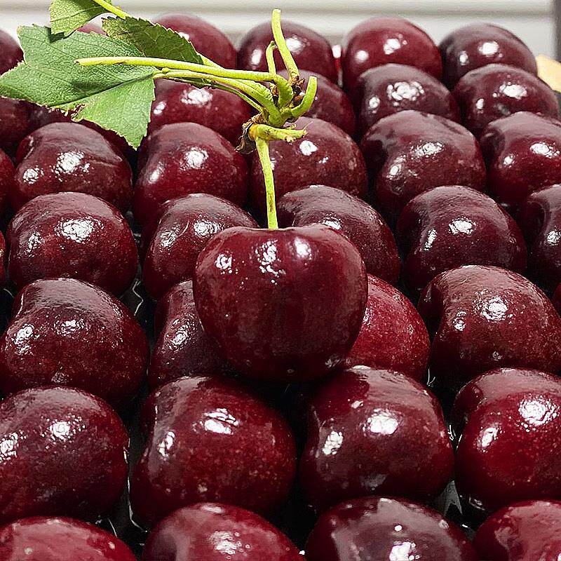 沃耶智利车厘子新鲜水果包邮顺丰5斤当季黑珍珠进口3j大樱桃整箱