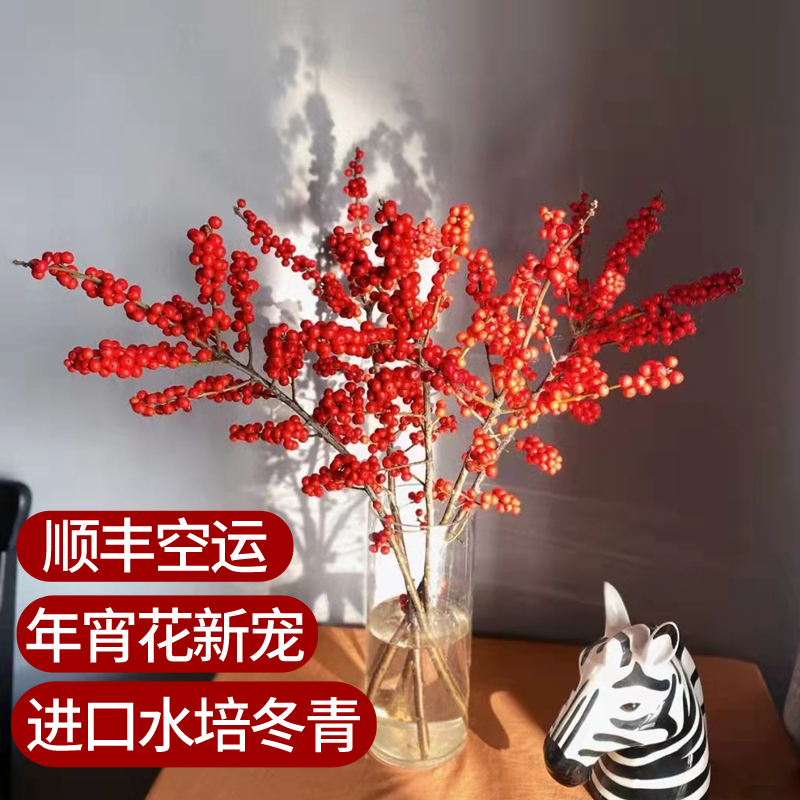 進口水培北美冬青盆栽紅果鮮花基地直發鮮切枝水養植物家用插花卉在類目 鮮花速遞/花卉仿真/綠植園藝, 鮮花速遞(同城)中 - 來自Buy2taobao.com提供專業的淘寶代購服務