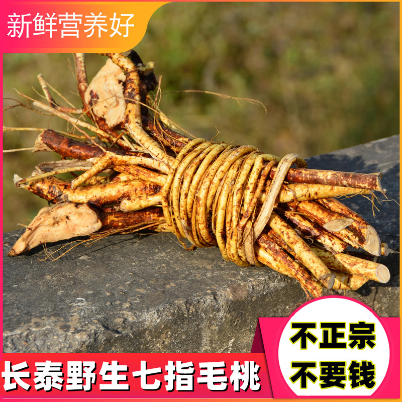 正宗高山野生七指毛桃牛奶根新鲜干品中药材牛大力靓汤材料非五指