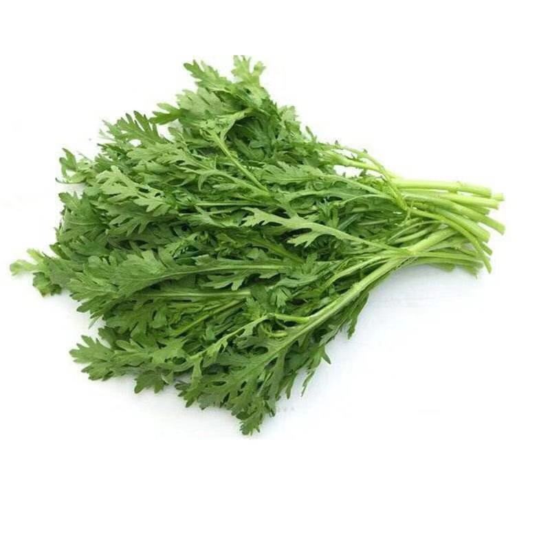 广东满80包邮顺丰皇帝菜新鲜茼蒿逢篙菜可以清炒火锅蔬菜500g