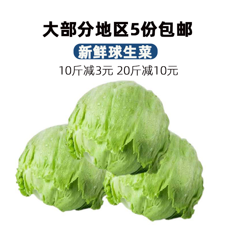 新鲜西生菜球生菜包生菜圆生菜沙拉食材汉堡用江浙沪皖5件包邮
