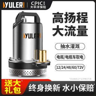 渝乐12V24V直流潜水泵48V60V72V电瓶电动车农用灌溉专用抽水泵机