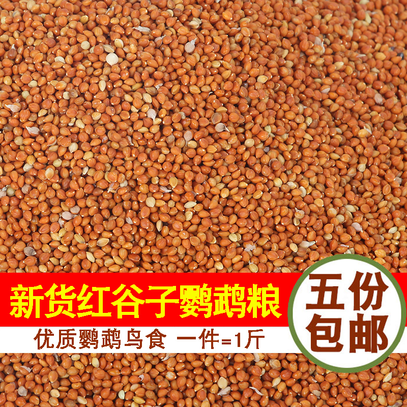 虎皮鹦鹉吃的鸟食玄凤文鸟带壳小米红谷子鸟料非黄谷子混合饲料在类目 宠物/宠物食品及用品, 鸟类及用品, 鸟食中 - 来自Buy2taobao.com提供专业的淘宝代购服务