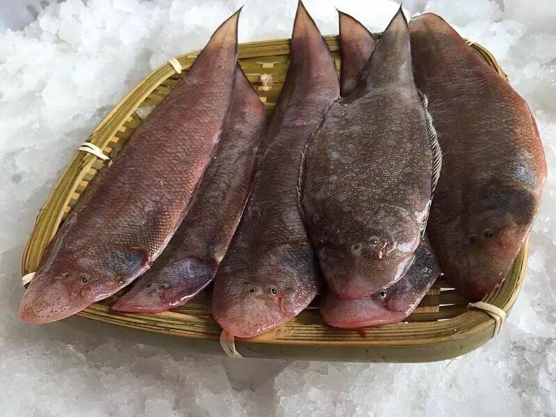 自捕【野生龙舌鱼】新鲜龙利鱼免邮舌头鱼牛舌踏板鱼宝宝辅食海鲜