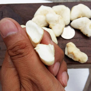 顺丰包邮新鲜菱角肉现剥菱角米菱角仁当季水果大菱角肉500g拍两斤