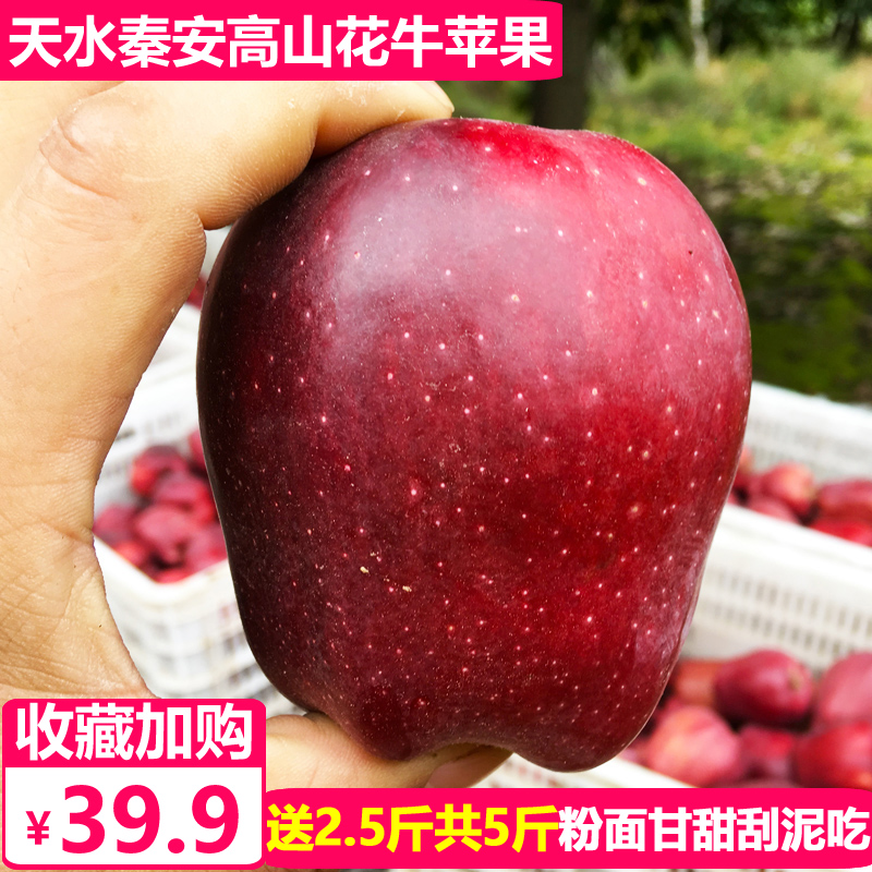 甘肃天水秦安花牛苹果蛇果5斤包邮新鲜当季粉面国产红蛇果苹果在类目 水产肉类/新鲜蔬果/熟食, 新鲜水果, 苹果中 - 来自Buy2taobao.com提供专业的淘宝代购服务