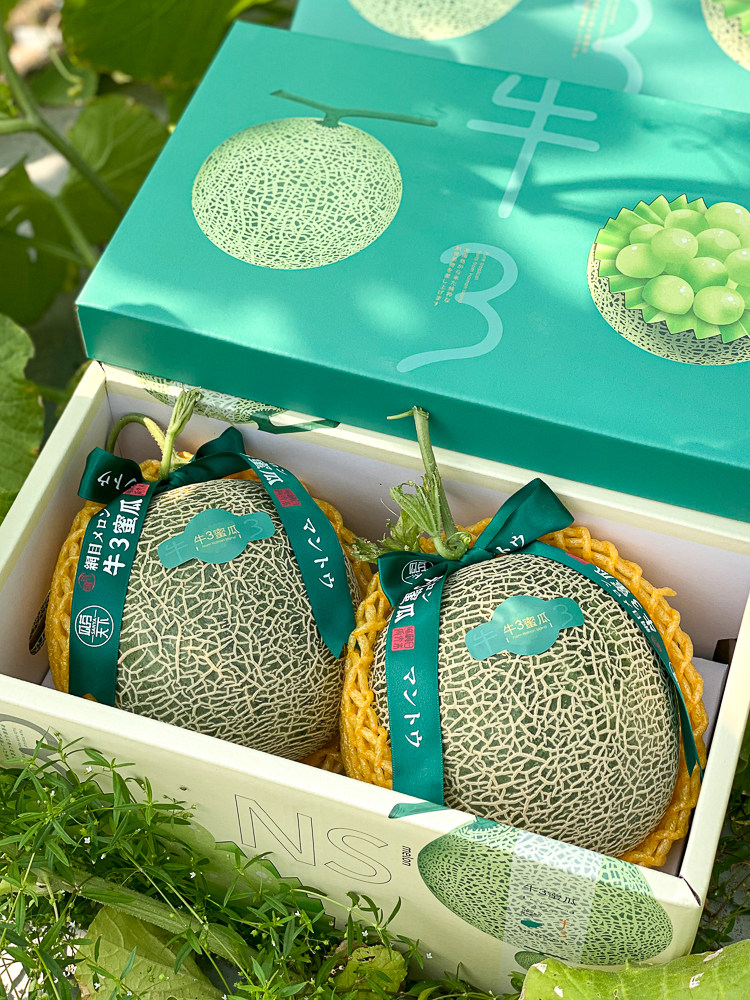 海南正宗牛3蜜瓜粗纹玫珑蜜瓜日本网纹瓜玫珑瓜4.5-10斤顺丰