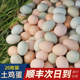 鸡蛋新鲜土鸡蛋农家散养新鲜正宗乌鸡蛋绿壳笨鸡蛋谷物草鸡蛋20枚