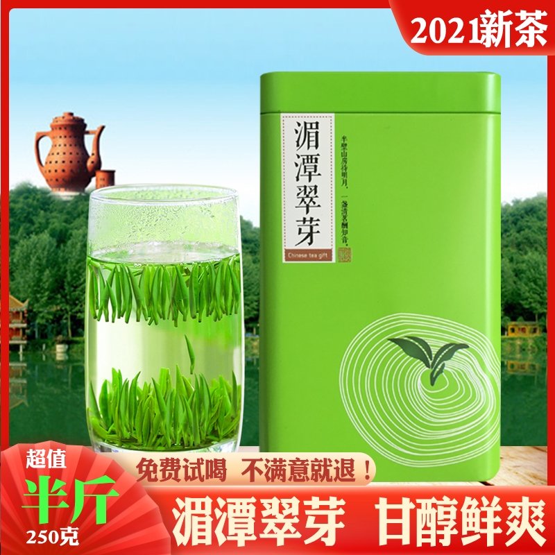 湄潭翠芽什么茶