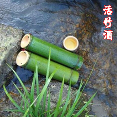 湖南特产原生态竹子竹筒酒500ml陈年老酒新化活竹酒正品包邮