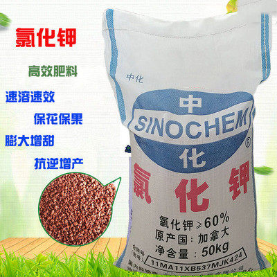 钾肥农用钾肥氯化钾加拿大进口钾肥60钾肥氯化钾肥料50公斤