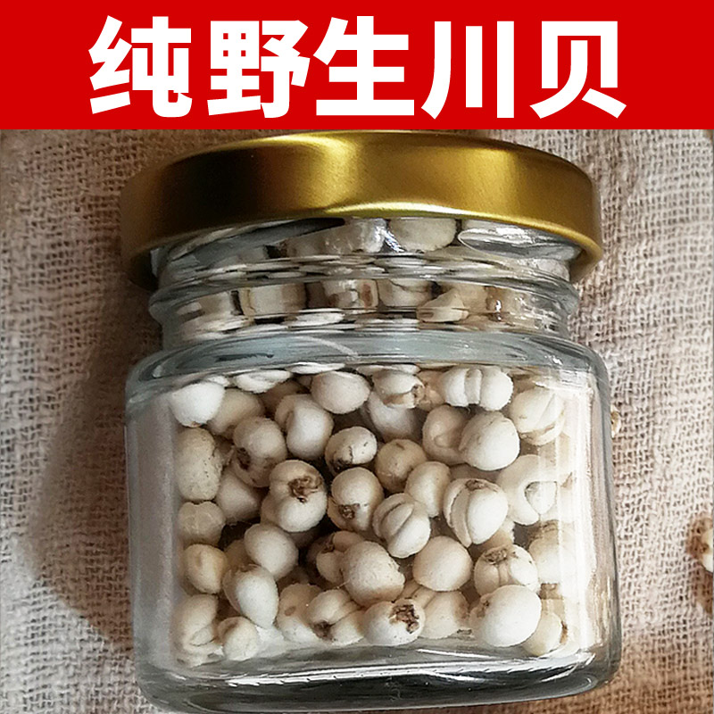正宗四川野生川贝母正品特级30克同仁堂品质川贝粉尖贝松贝