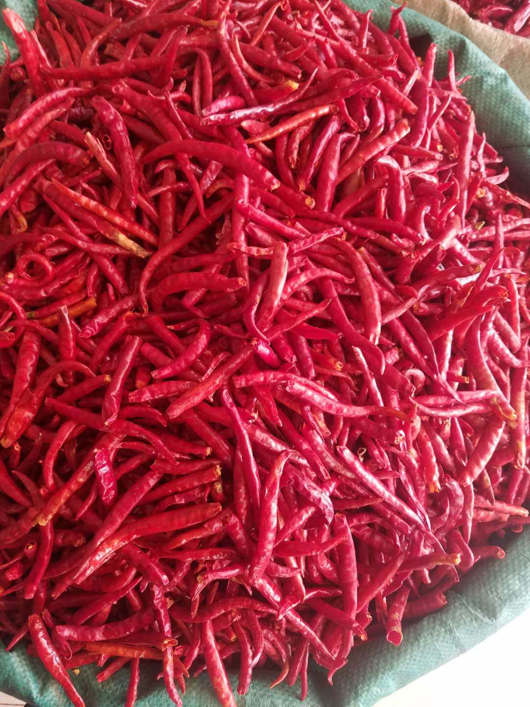 正宗云南特产红干辣椒丘北辣椒散装500g炒菜干椒香辣辣干辣椒包邮