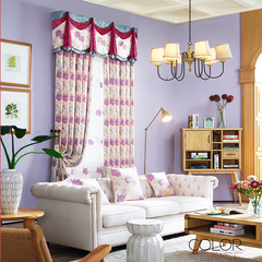专柜新款雪尼尔双层色织提花 欧式美式别墅卧室飘窗高窗窗帘包邮