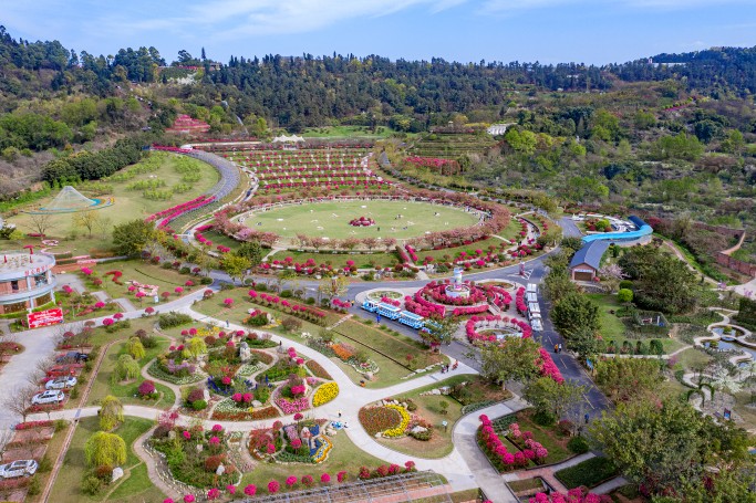 新津花舞人间 花舞人间 春游赏花好去处