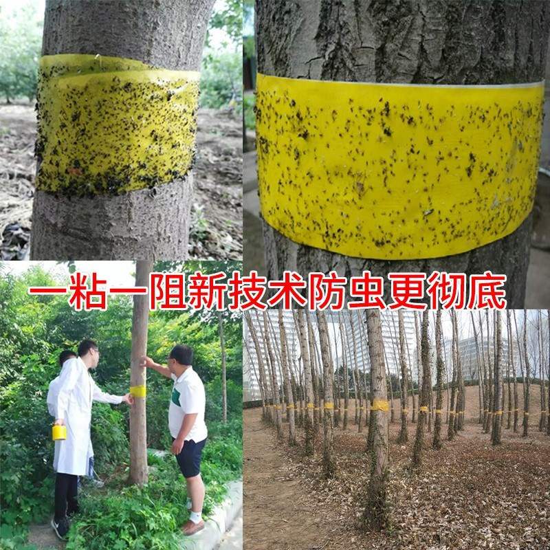 淇林树木防虫胶带粘虫果树园林苗木通用带缠大树防治草履甲虫胶带|msdalam kategori penghantaran bunga/bunga simulasi/tumbuhan berkebun, Gardening Supplies, Peralatan Perkebunan lain - dari Buy2taobao.com untuk memberikan perkhidmatan ejen Taobao profesional membeli