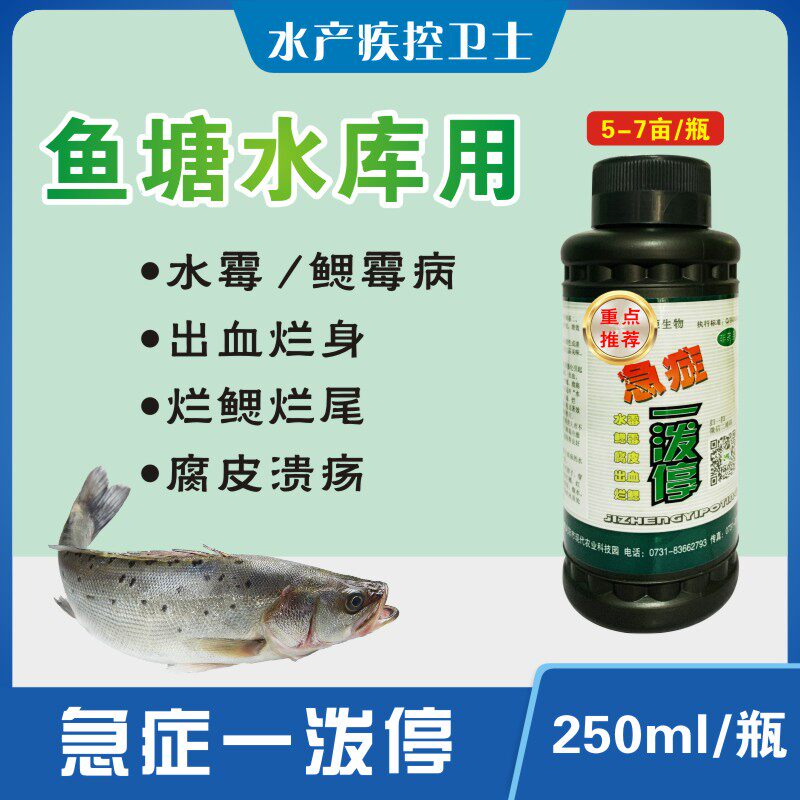 水产养殖用鱼塘急症一泼停水霉鳃霉腐皮出血烂鳃消毒杀菌池塘鱼药