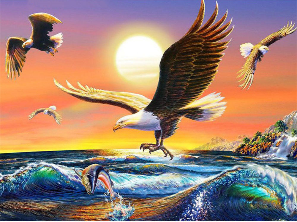 diy数字油画自己填色老鹰展翅飞翔捕食雄鹰翱翔天际家居装饰新款