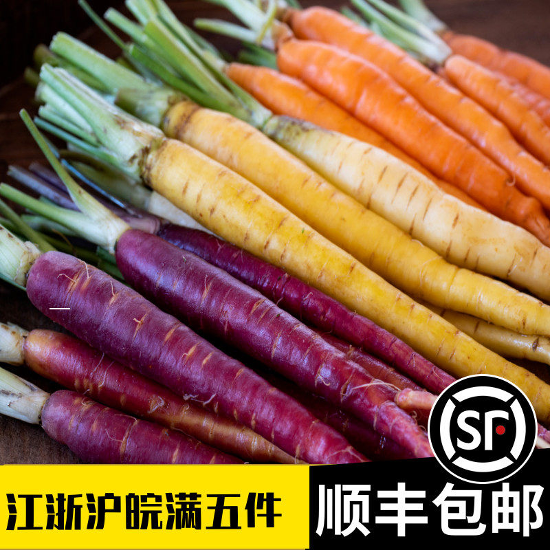 彩色小萝卜500g新鲜紫色黄色三色即食摆盘水果七彩迷你手指胡萝卜