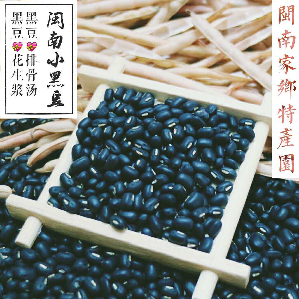 肾形黄芯小黑豆福建闽南泉州牛角黑小黑豆婆婆自种500g满5斤包邮