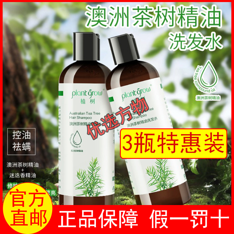 Challenge Wash hair Melaleuca alternifolia essential oil shampoo plant grow Tree Planting Oil control Dandruff Remove mitein the Care cleaners/Sanitary napkins/Paper/Aromatherapy , Shampoo bath/Personal cleanliness , Hair clean/Nurse/Modeling , Shampoo category - from Buy2taobao.com to provide professional Taobao agent buy service